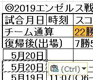 Excel貼り付けオプション.JPG