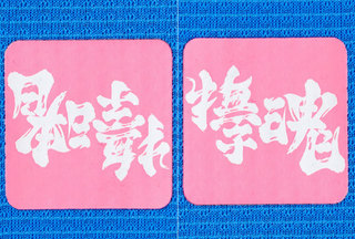 6ab45ae0-e53f-3b44-cf43-fd06668abbf7.view.jpg
