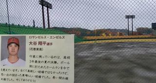 茧c싅_Shinsuke.JPG