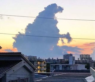KUMO_GODZILLA.JPG