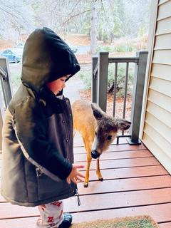 little-boy-with-baby-deer-in-massanutten_6013953c3a69a.jpg